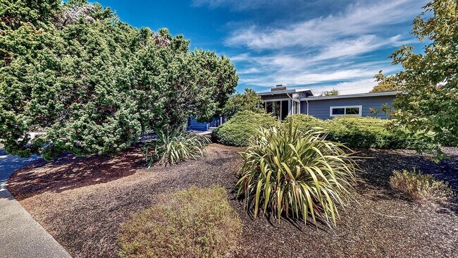 Building Photo - 2220 Boise Ct