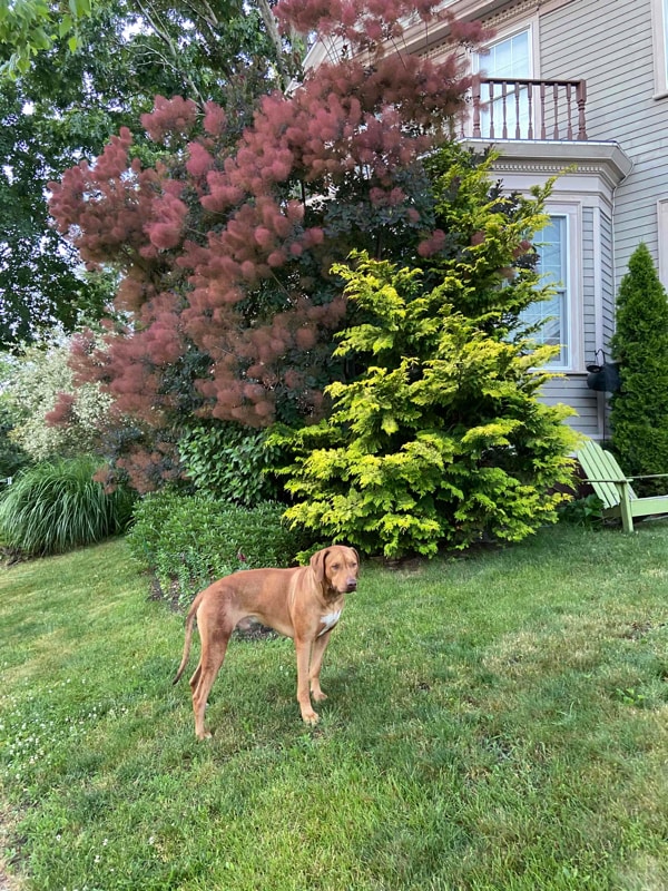 443 Hope St, Providence, RI 02906 Room for Rent in Providence, RI