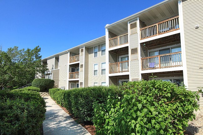 Building Photo - Water's Edge Apartments