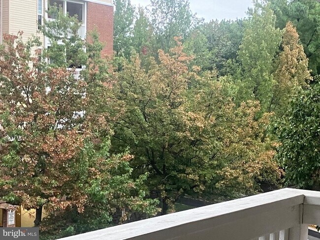 Foto del edificio - 1513 Lincoln Way