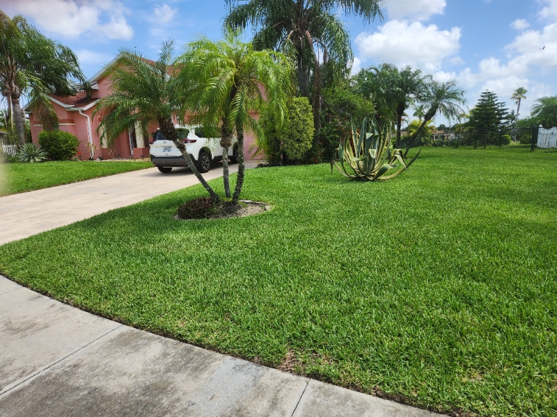 Building Photo - 18241 Plumbago Ct