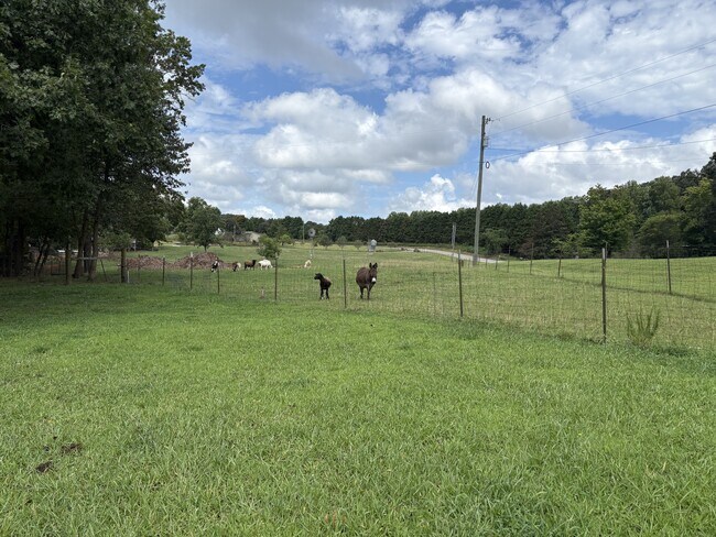 Building Photo - 368 White Pine Crossover