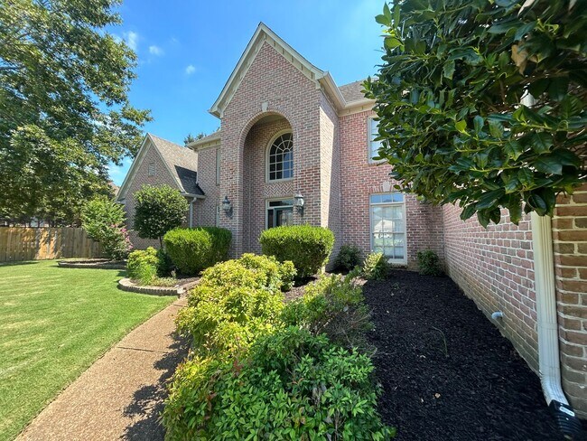 Foto del edificio - Beautiful Collierville home tucked away in...