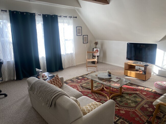 Living Room - 525 Shady Ave