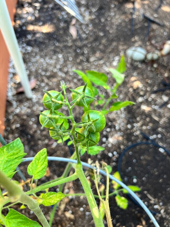 Building Photo - 8140 Valdosta Ave