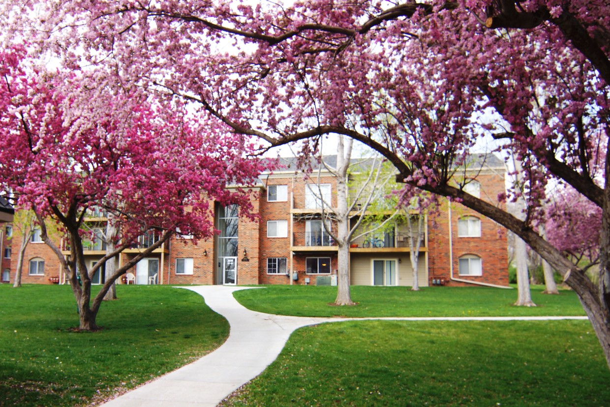 Park Like Setting with Manicured Lawns and Cherry Trees! - Georgetown Apartments