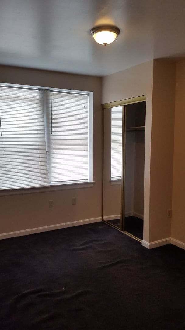 Building Photo - South Oakland renovated apartment