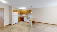 Located at 1145 Hudson Rd in Saint Paul, Minnesota, this single-floor unit offers a practical and well-organized layout designed for comfortable everyday living. The kitchen is equipped with warm honey-toned oak cabinetry, ample upper and lower storage, a full suite of white appliances including a refrigerator, electric range, and dishwasher, and a peninsula with a countertop overhang that doubles as a casual dining surface. A pendant light fixture and a flush-mount ceiling light provide bright, even illumination. Light-toned vinyl plank flooring runs through the kitchen and main living area, offering a clean, low-maintenance surface. The open layout between the kitchen and living space creates a connected, easy-to-navigate floor plan. The bedroom features plush wall-to-wall carpeting, a window with blinds that allows natural light, and a baseboard heating unit for year-round comfort. The textured ceilings are consistent throughout the unit. The bathroom includes a walk-in style shower and tub combination outfitted with multiple brushed nickel grab bars and a handheld showerhead, providing accessibility and safety-conscious design. Overall, the unit presents a clean, neutral aesthetic with functional features suited for a wide range of residents.