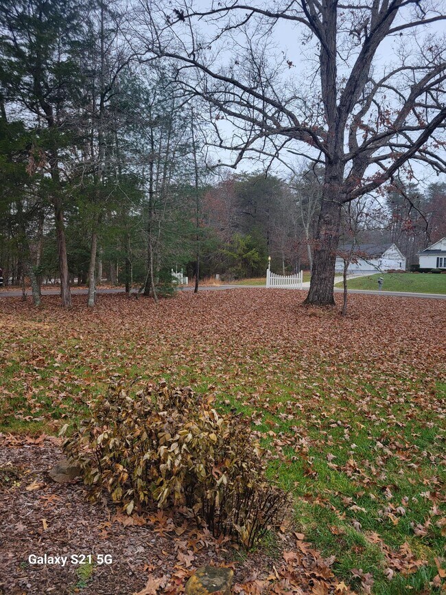 Foto del edificio - 44 Myra Dr