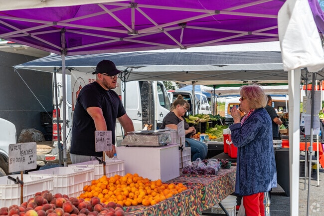 Every stall tells a story of dedication and passion for fresh, sustainable food.