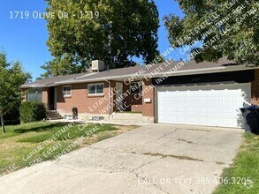 Building Photo - 1719 Olive Dr