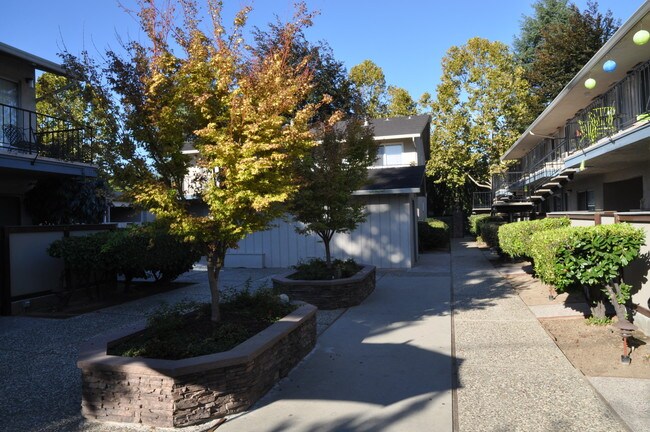 Building Photo - 3990 Hamilton Ave
