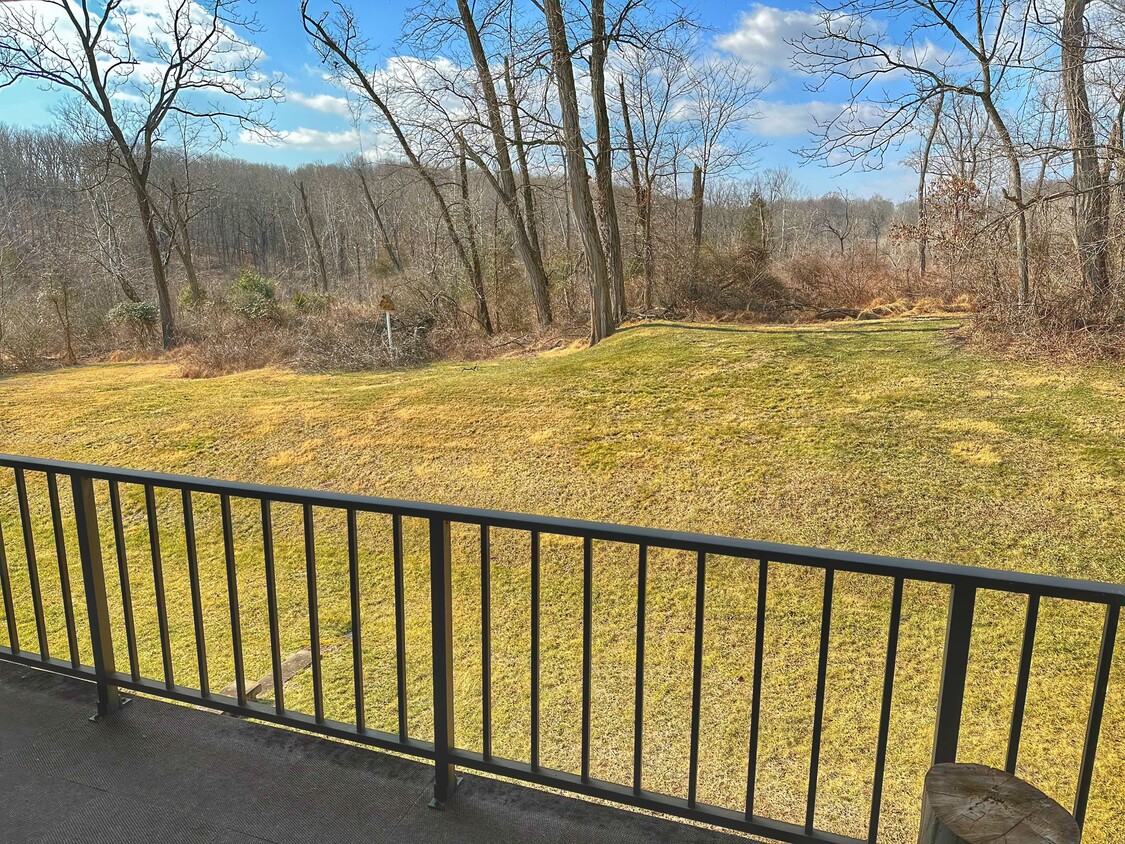 63 Hermitage Dr, New Hope, PA 18938 Condo for Rent in New Hope, PA