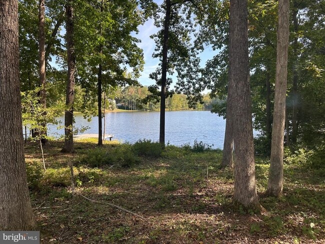 Building Photo - 12102 Wilderness Park Dr