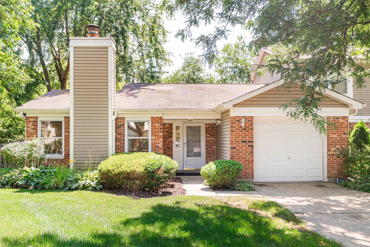 Primary Photo - 264 Sutton Ct