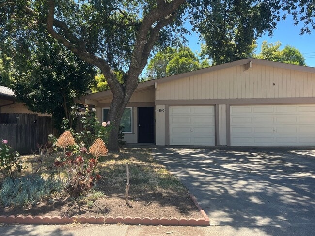 Building Photo - Cowell 4808-4810