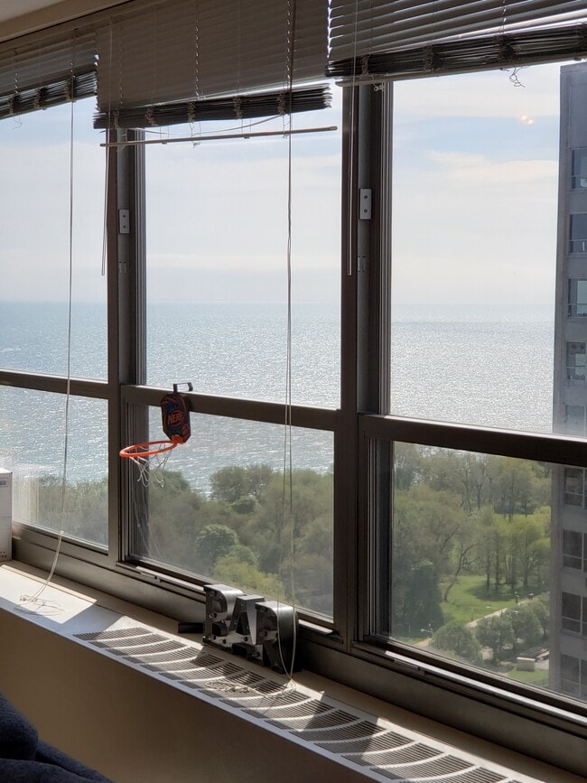 Building Photo - 3550 N Lake Shore Dr