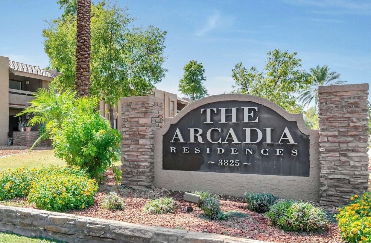 Primary Photo - 3825 E Camelback Rd