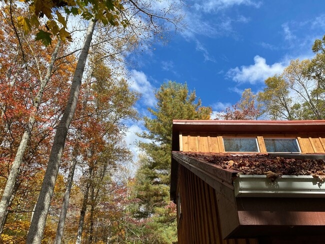 Foto del edificio - 143 Red Huckleberry Ln