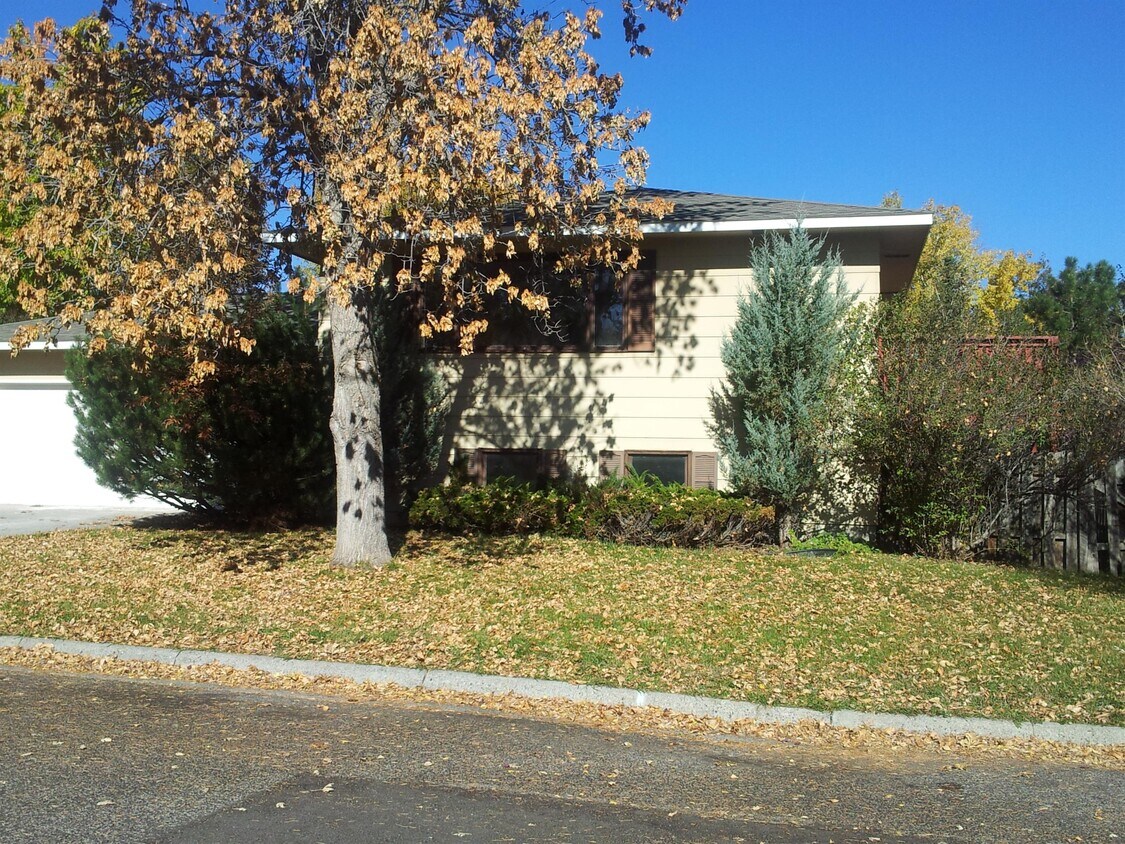 Primary Photo - 415 Morrow St