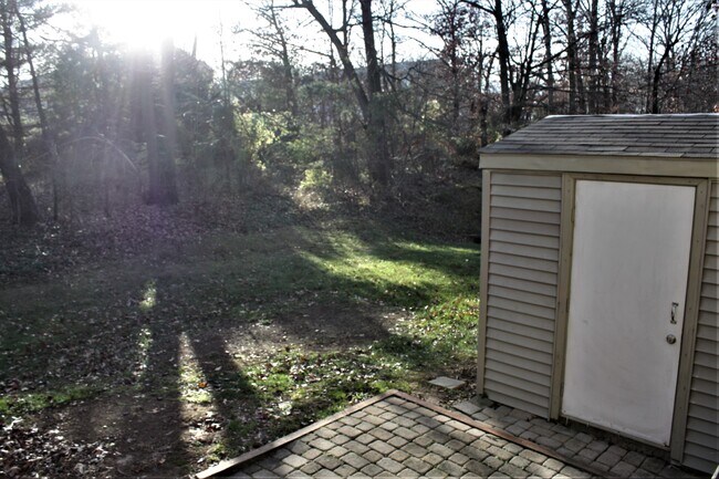 Backyard - 527 Brethour Ct