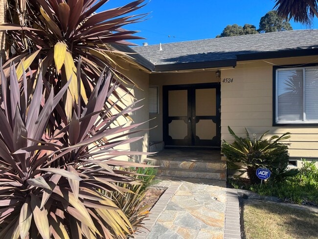 Foto del edificio - 4 Bedroom Ranch Style Home in Quiet El Sobrante Neighborhood