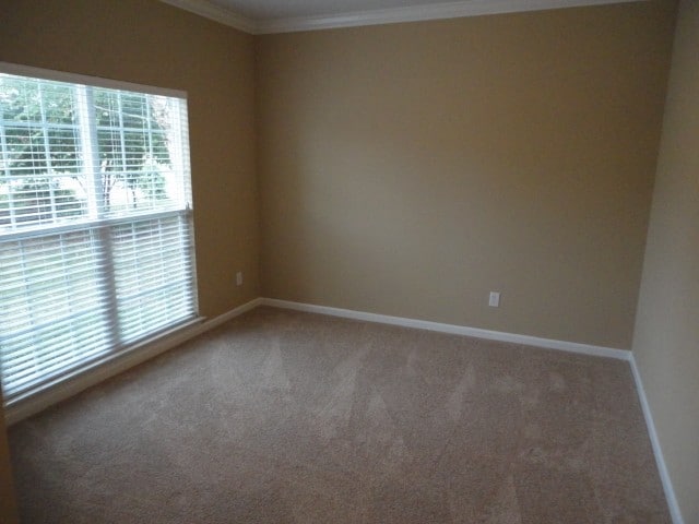 Building Photo - 3916 Fountain Grove Drive