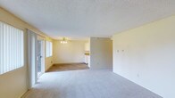 This single-floor space showcases an open-concept layout that seamlessly connects the living, dining, and kitchen areas. The main living area is finished with plush wall-to-wall carpeting in a neutral tone, providing a comfortable and cohesive foundation for the space. Transitioning toward the dining area and kitchen, the flooring shifts to a wood-style surface, adding a practical and visually distinct zone within the open floor plan.

A textured popcorn ceiling runs throughout, adding dimension overhead, while a ceiling fan with a light fixture is centrally positioned to provide both airflow and ambient lighting. Soft yellow-toned walls contribute a warm, inviting atmosphere throughout the space.

A large sliding glass door along one wall allows natural light to filter into the living area, creating a bright and airy feel. The kitchen, partially visible from the main area, features white cabinetry and is neatly separated by a partial dividing wall, offering a degree of distinction while maintaining the open flow of the overall layout. The space presents a clean, functional design suitable for everyday living.