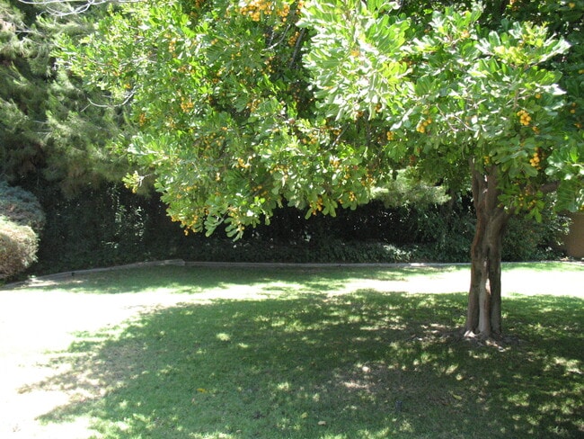 Patio trasero - Parcial - 3121 W Wyoming Ave