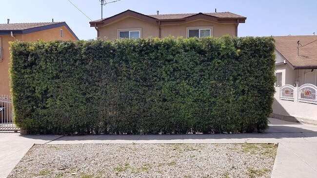 3424 Bellevue Current Privacy Hedge - 3424 Bellevue Ave
