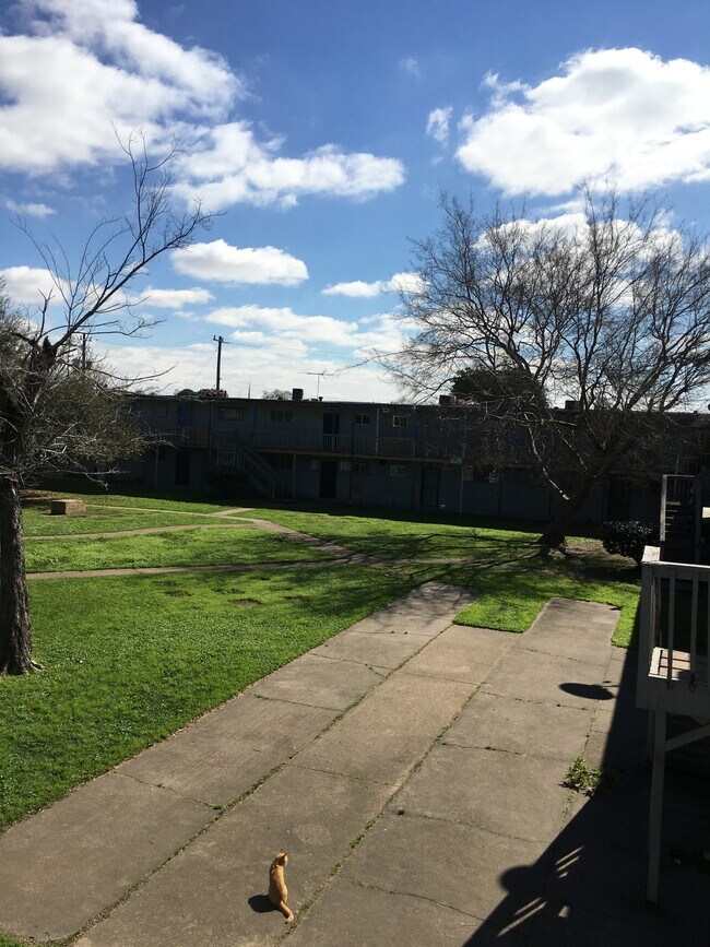 Foto del edificio - 7939 Sarita St