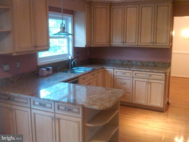Building Photo - 14709 Pommel Dr