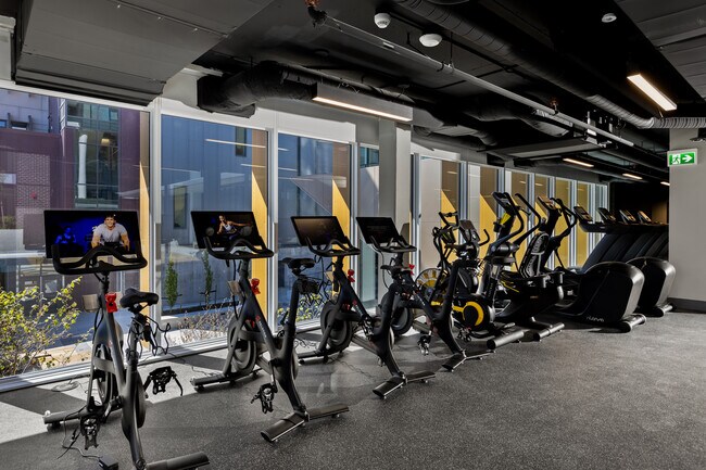 Salle de sport - One Fifty Braid