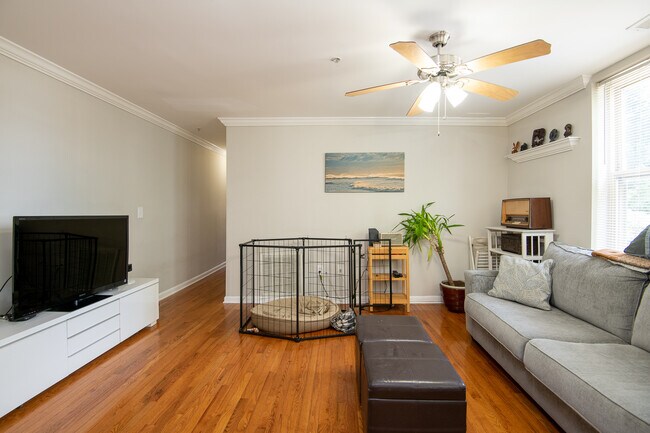 Foto del edificio - 529 Lamont St NW