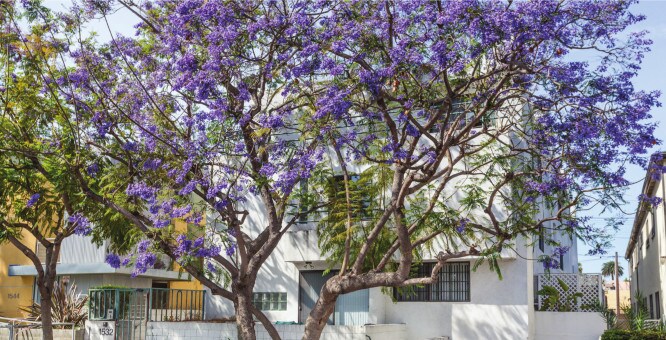 Foto principal - 1532 9th St
