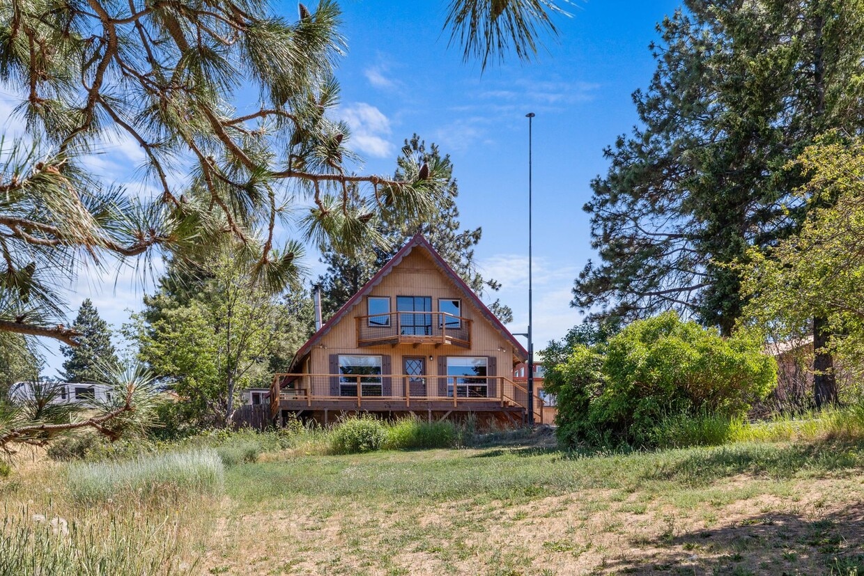 Primary Photo - Rustic Cabin Among the Trees