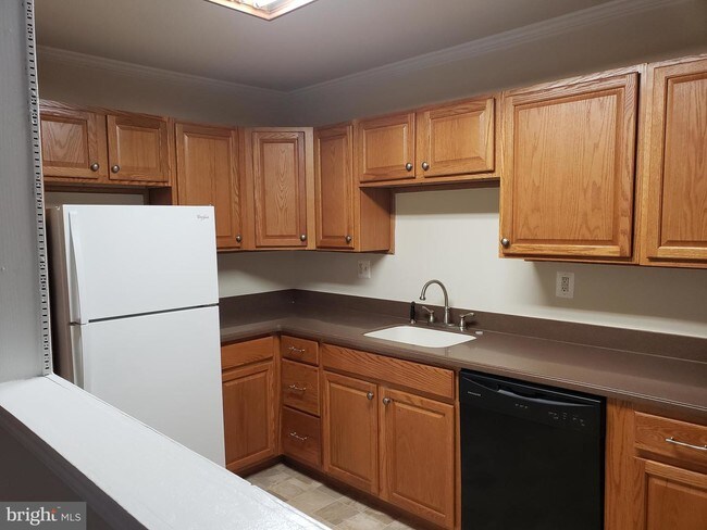 Building Photo - 4546C Rawlings Pl