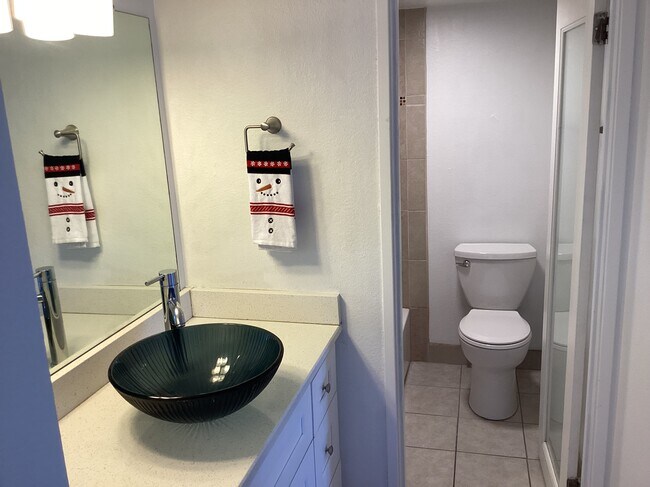 Modern bath - 1433 N Williams St