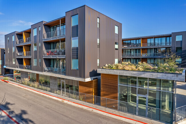 Building Photo - The 900 Condos of Austin