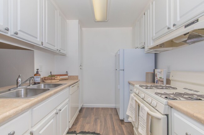 Building Photo - Spacious and beautiful. Consider your new ...