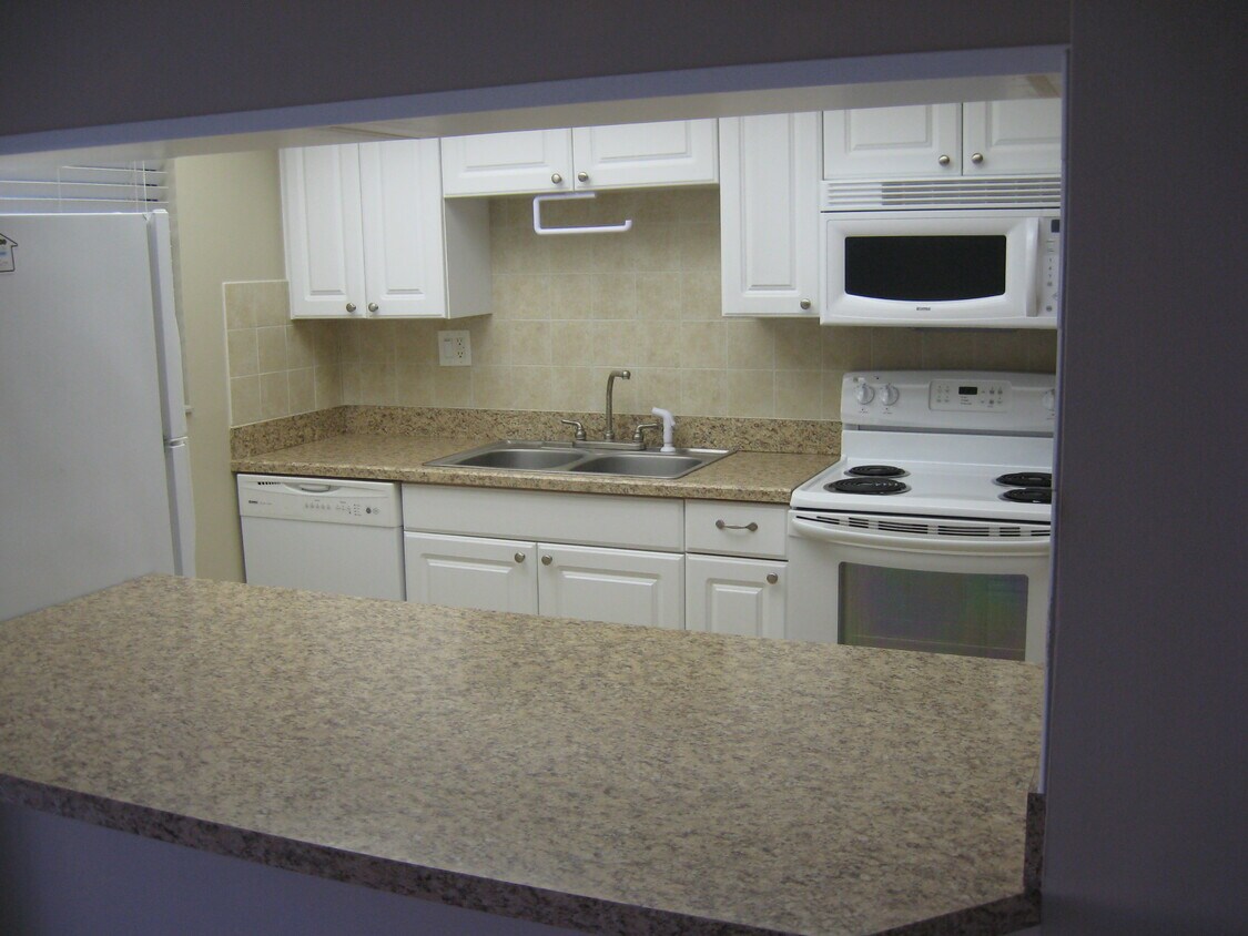 865 N Village Dr Unit 103, Saint Petersburg, FL 33716 Condo for Rent