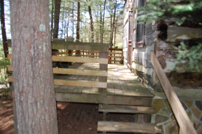 Building Photo - Cozy Cabin - 1 BR, 1 Ba