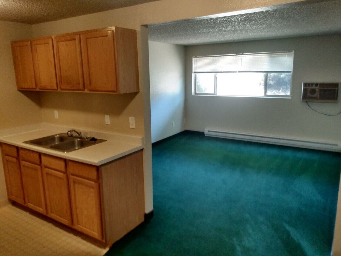 Foto principal - 1 bedroom 1 bathroom bottom floor downstai...