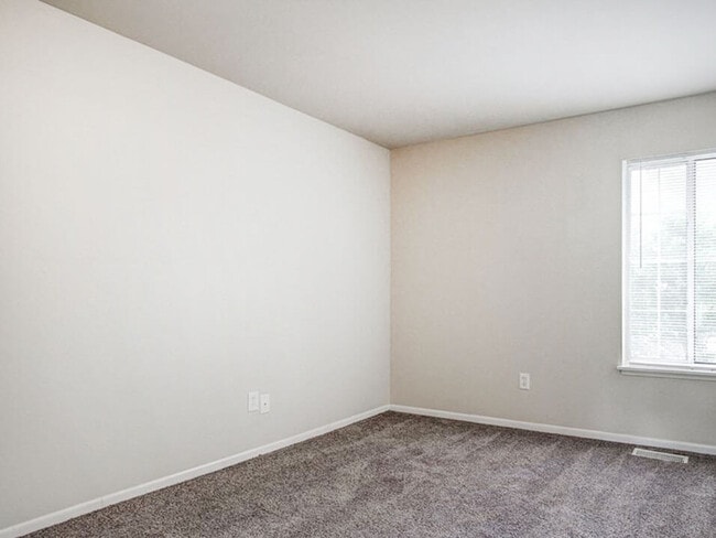 Cozy Plush Carpeting - Hidden Cove