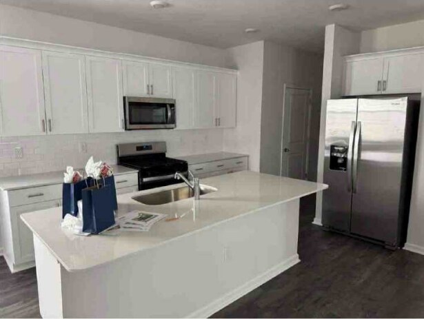 Foto del edificio - 553 Lemon Daisy Ln