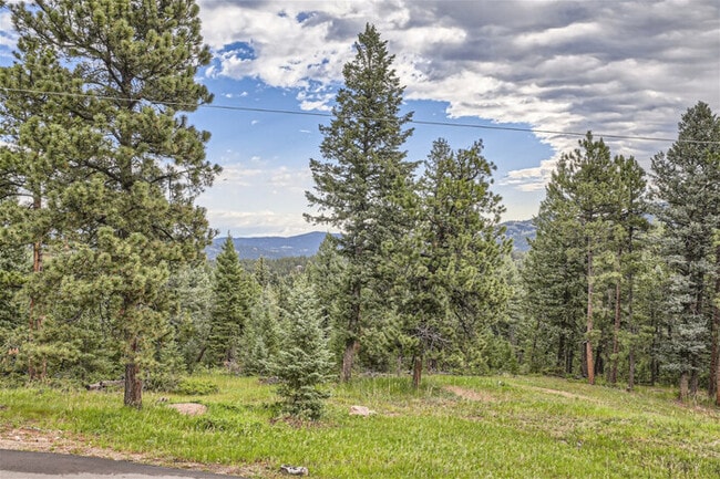 Building Photo - Ponderosa Evergreen Cabin w/20+Acres/Views...