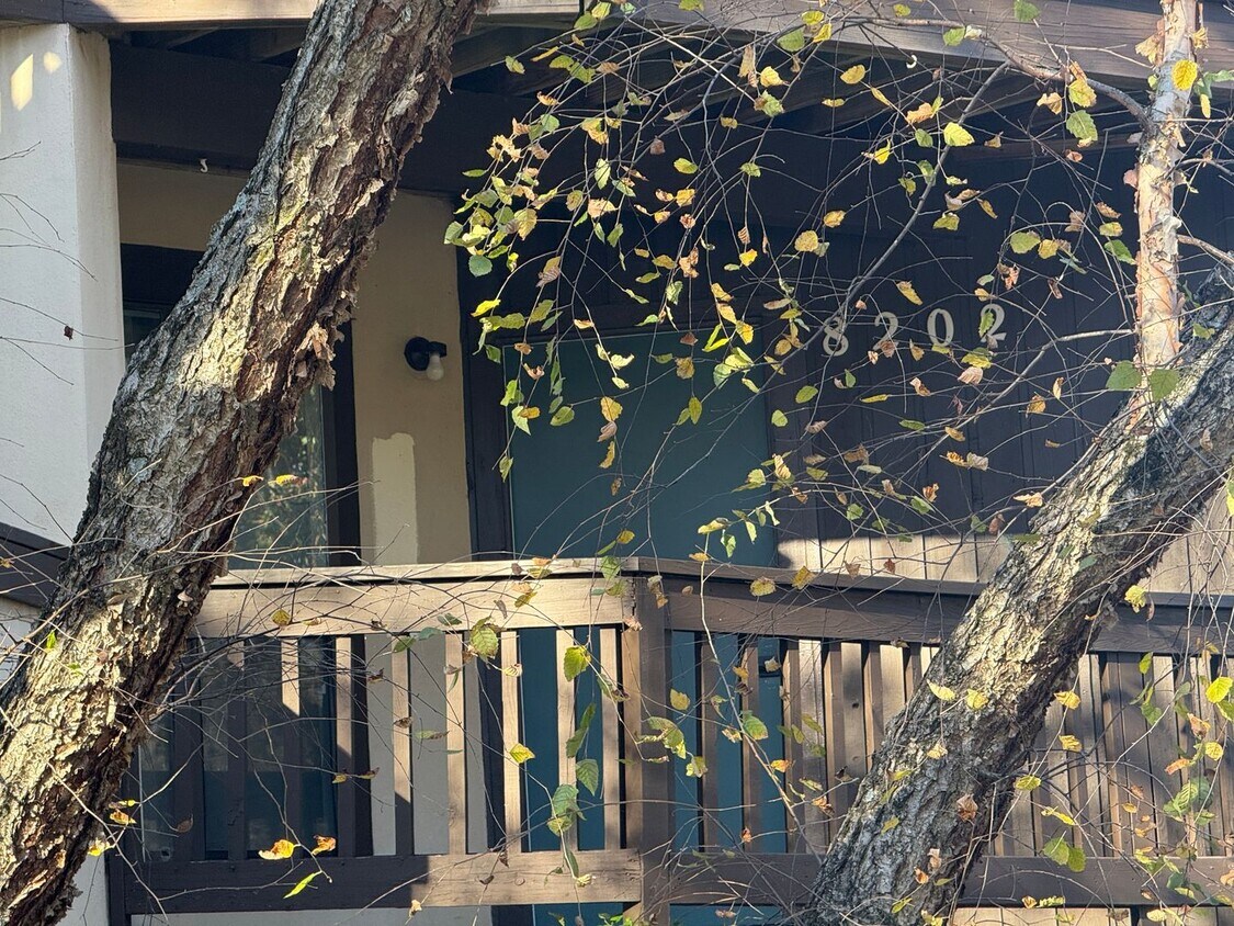 Primary Photo - Beautiful Condo minutes from Uptown Charlotte