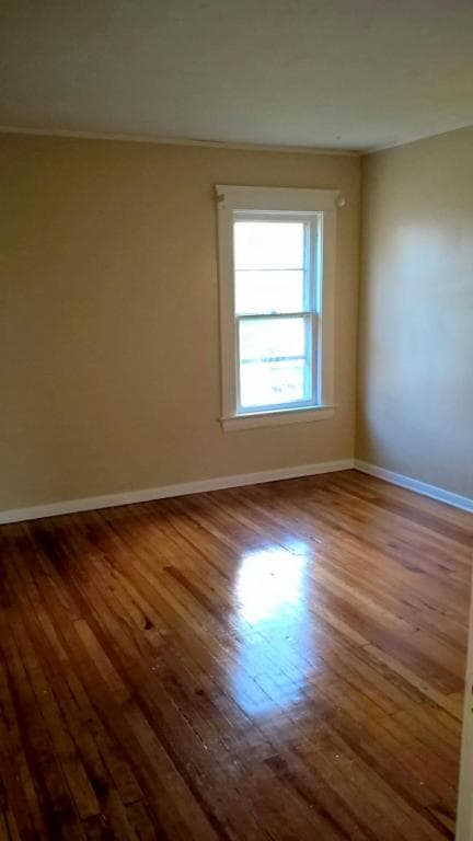 Building Photo - 839 E 146th St