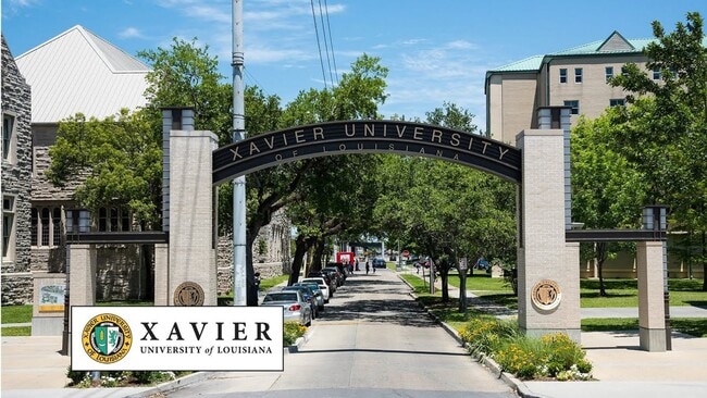 3 Bedroom Apt. steps from Xavier University New Orleans - 3 Bedroom Apt. steps from Xavier University New Orleans