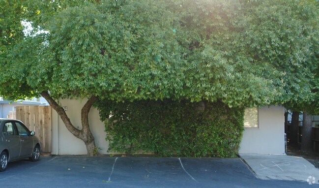 Building Photo - 964 Dolores Dr